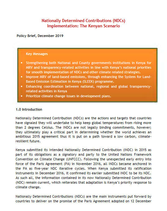 Kenya policy brief