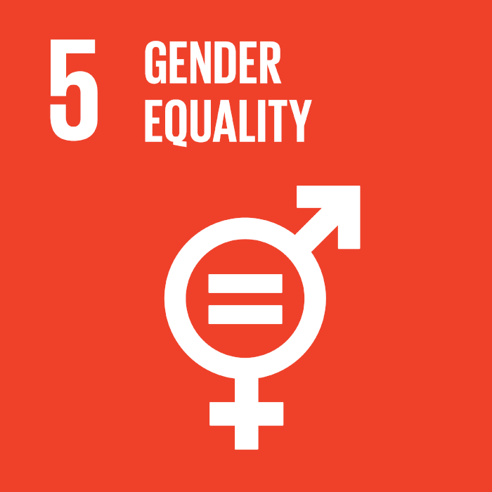UN Sustainable Development
				goals