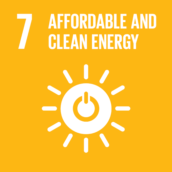 UN Sustainable Development
				goals