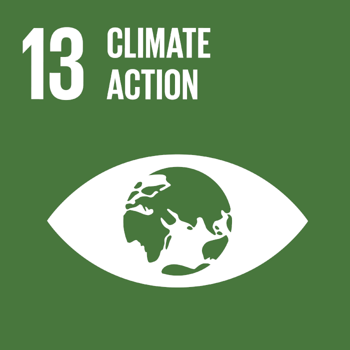 UN Sustainable Development
				goals