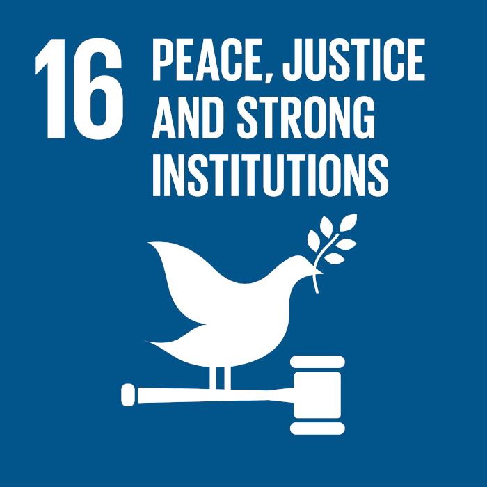 UN Sustainable Development
				goals